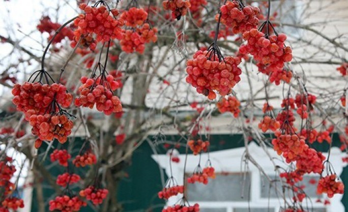 Гололедица и переменная облачность ожидаются в Беларуси 18 февраля