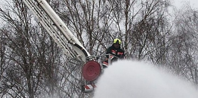 В Слонимском районе при пожаре на ферме спасли 20 телят