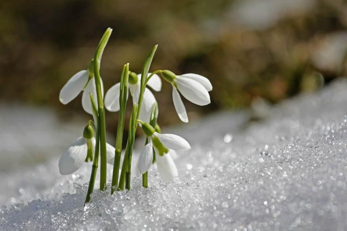 Когда в Беларусь придёт настоящая, а не календарная весна? Прогноз погоды на неделю с 4 по 10 марта