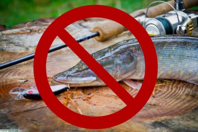 Весенние запреты на лов рыбы