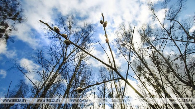 Сильный ветер и до +13°С ожидается в Беларуси 7 марта