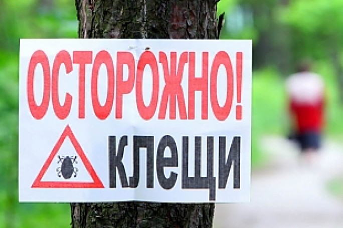 На Гродненщине раньше срока проснулись клещи