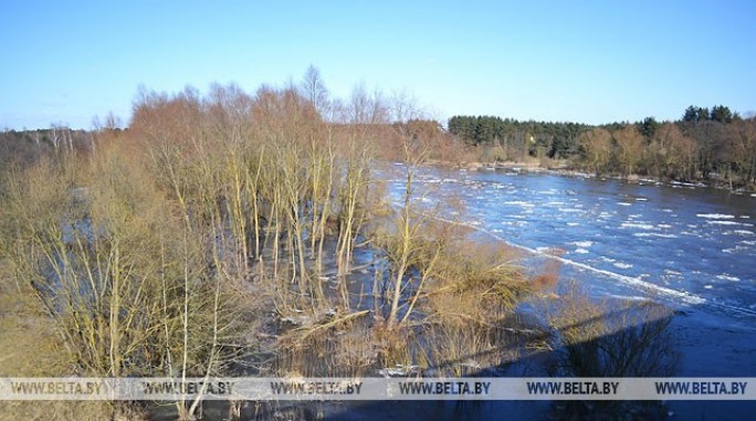 Оранжевый уровень опасности объявлен в Беларуси 8 марта из-за сильного ветра