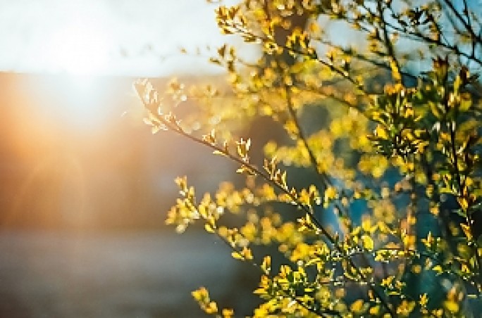 До +12°С ожидается по югу Беларуси 9 марта