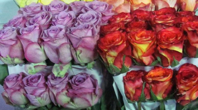 Гродненские таможенники за 2 месяца пресекли более 20 попыток незаконного ввоза цветов