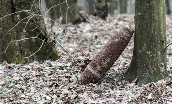 В лесах Гродненской области найдены снаряды