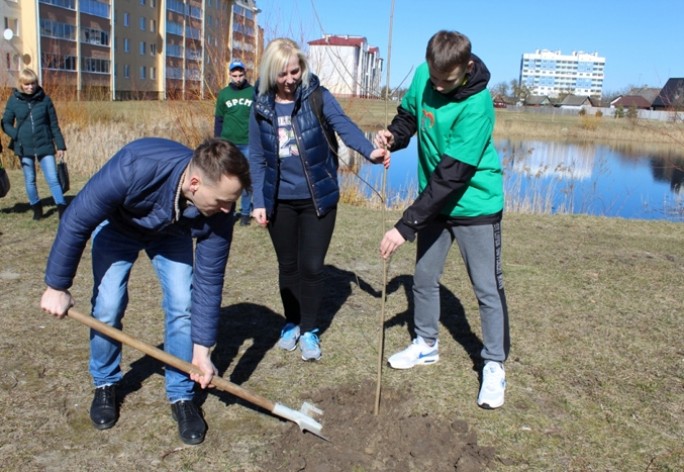 На Мостовщине положили начало парку семейных деревьев