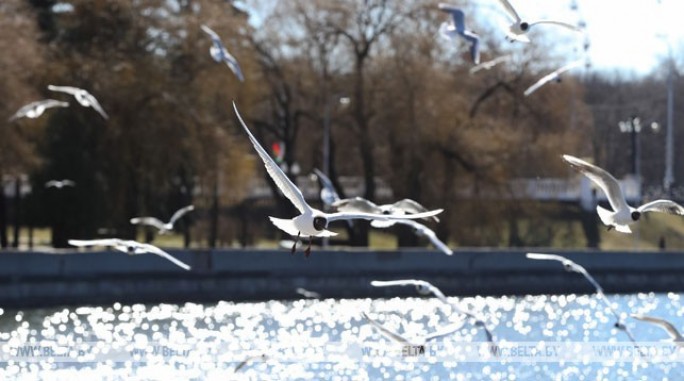 До +16°С ожидается в Беларуси 7 апреля