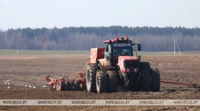 Ранние яровые в Беларуси посеяны более чем на 60% площадей