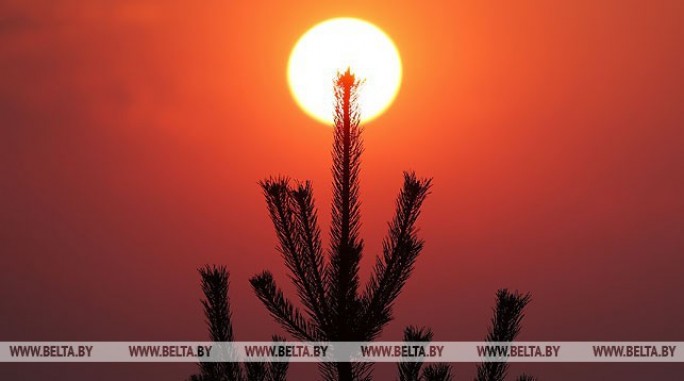 Порывистый ветер и до +11°С ожидается в Беларуси 13 апреля