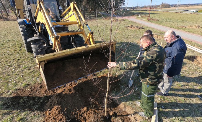 Парк к 75-летию области заложили в Ольшанке в Гродно