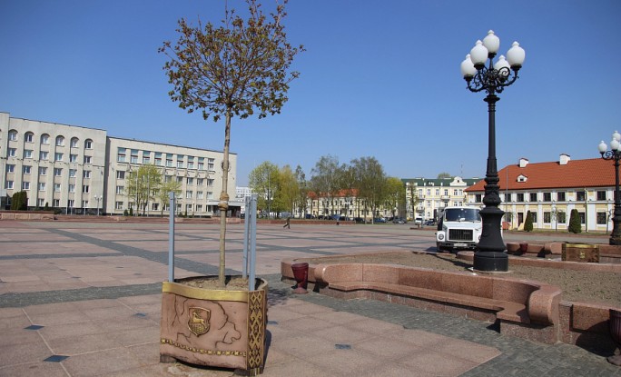 «Мобильные» деревья появились в Гродно. Первые деревья в кадках украсили областной центр