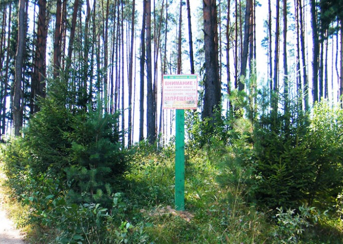 В Мостовском районе с 24 апреля введён запрет на посещение лесов