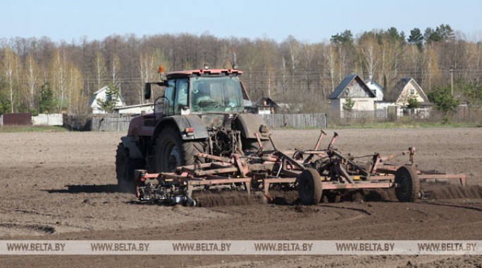 Сев кукурузы в Беларуси проведен почти на половине площадей