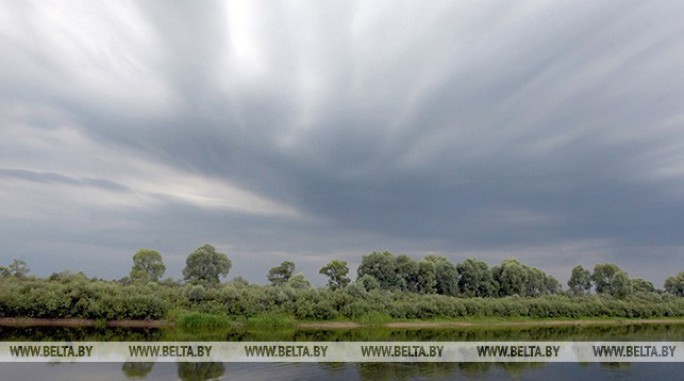 Дожди и грозы ожидаются в Беларуси 11 мая