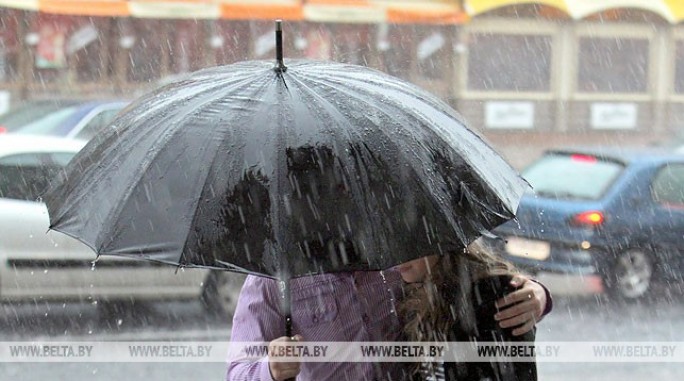 Дожди и грозы ожидаются по юго-западу Беларуси 19 мая