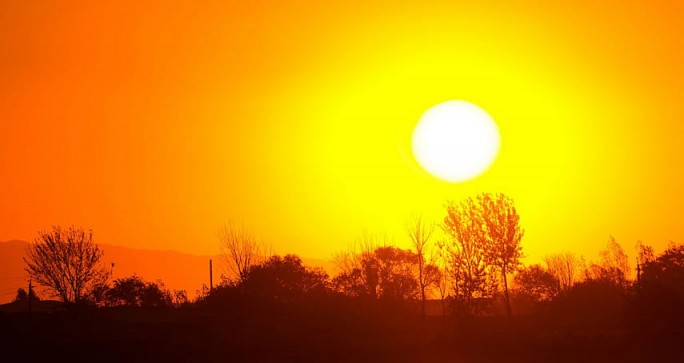 Метеорологи назвали лето 2019 года самым жарким