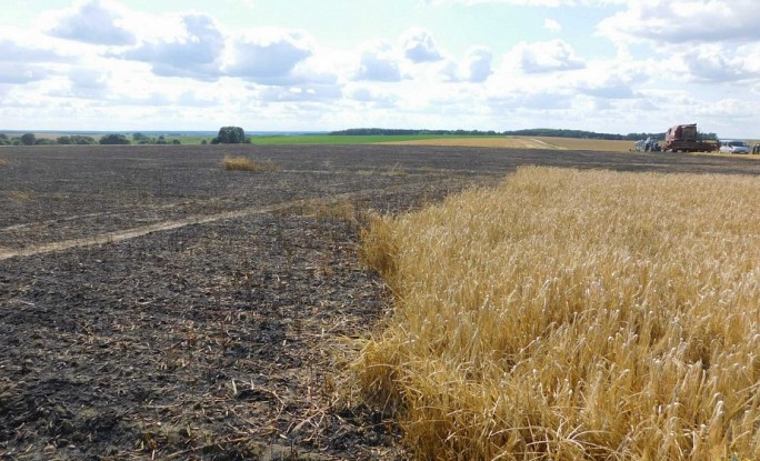 В Берестовицком районе горели 32,5 гектаров посевов