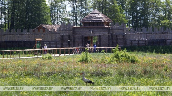 Древнегерманское подворье и славянскую деревню воссоздадут в археологическом музее Беловежской пущи
