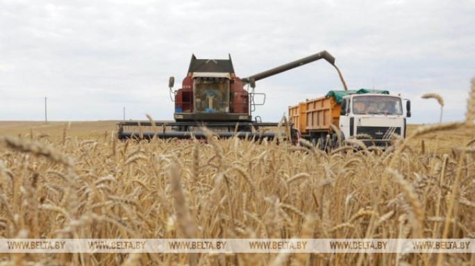Мининформ дал старт конкурсу среди СМИ на лучшее освещение уборочной кампании
