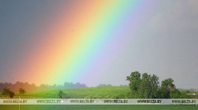 Дожди с грозами и до +28°С по югу ожидается в Беларуси 7 августа