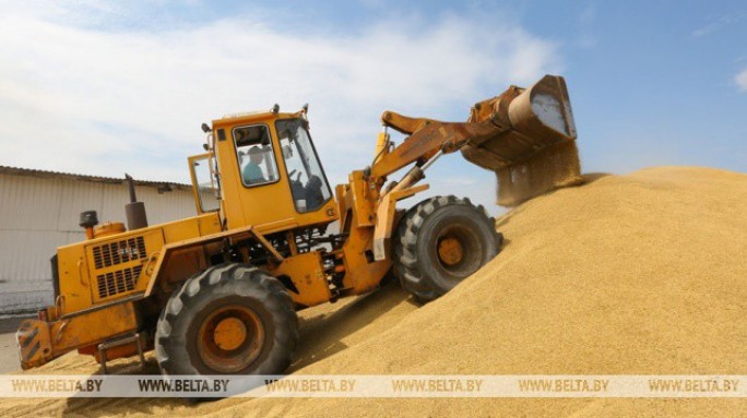 Белорусские аграрии намолотили более 5 млн т зерна
