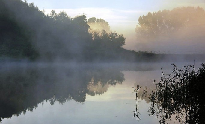 До +27°С и туман ожидаются в Беларуси 10 августа
