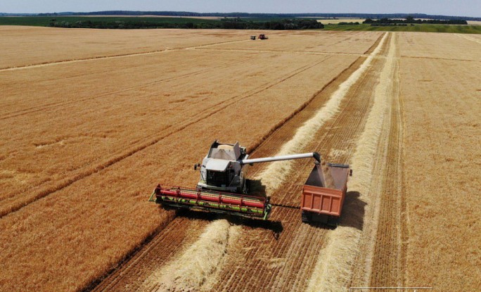 В Гродненской области убрали уже 95% урожая