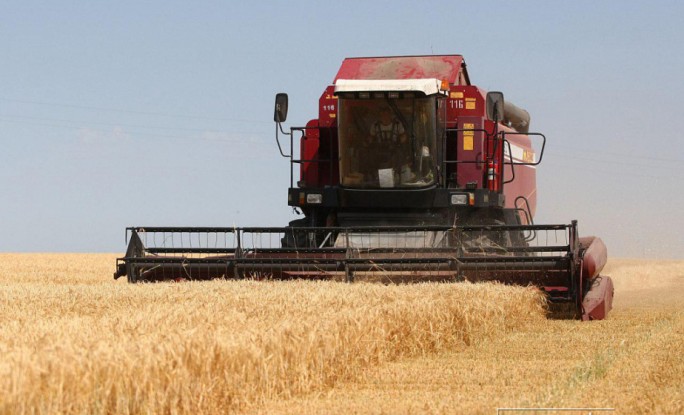 В регионе намолочено более 1 147 000 тонн зерна нового урожая