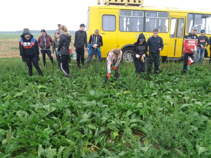 Зорнае лета гудзевіцкіх юнакоў і дзяўчат