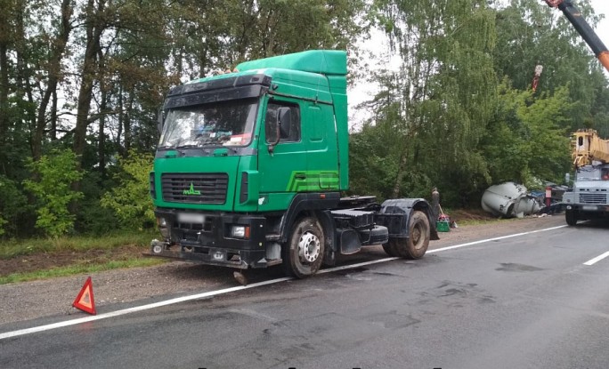 Под Гродно водитель отправил цистерну с цементом в кювет, чтобы избежать столкновения с лосем