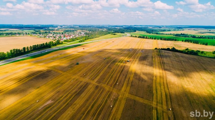 В Беларуси осталось убрать около 3% площадей зерновых