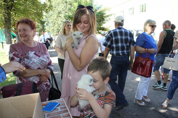 Выставка домашних питомцев на празднике города Мосты собрала любителей  животных
