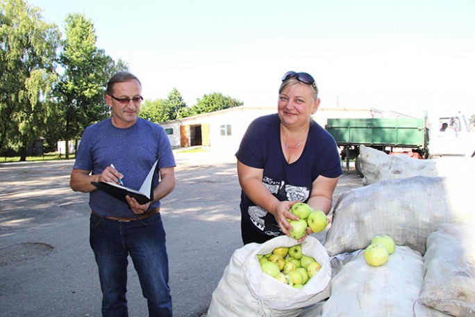 Мостовские кооператоры активно принимают излишки сельхозпродукции