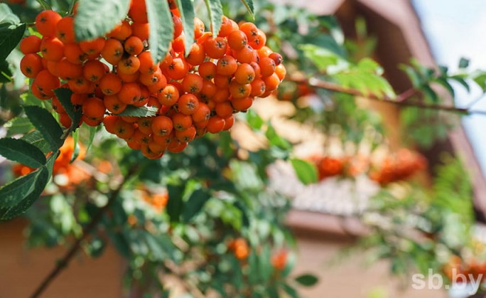 Календарь и традиции: 2 - 8 сентября 2019 года