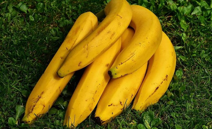 Ученые: через 30 лет на Земле могут исчезнуть бананы
