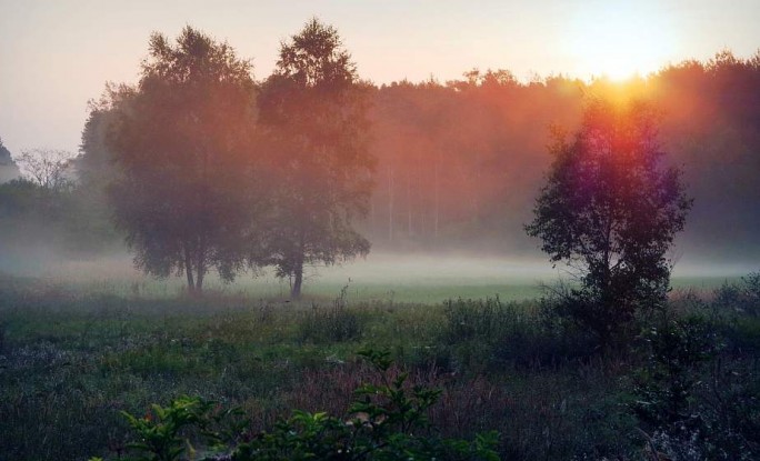 Туман, грозы и до +27°C. Какой будет погода 8 сентября