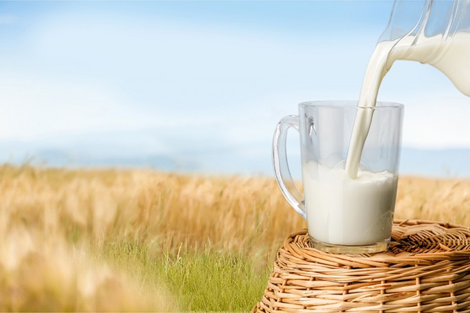 Почему молоко должно быть в рационе каждого здорового человека