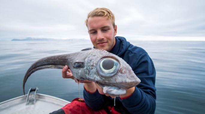 Рыбак из Норвегии выловил 'инопланетную' рыбу и съел ее