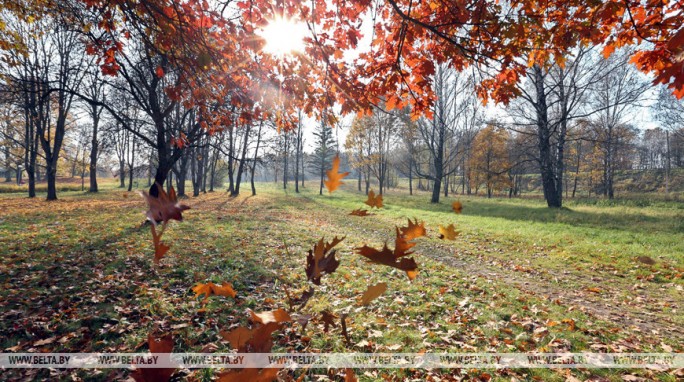 Ветрено и прохладно будет в Беларуси 19 сентября