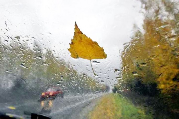 Дождливая погода ожидается в Беларуси в выходные