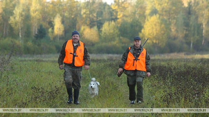 В Беларуси открывается сезон загонной охоты на лося, оленя и косулю