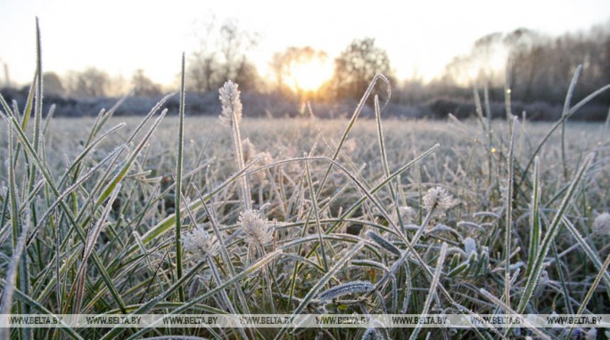 Ночные заморозки и мокрый снег ожидаются в Беларуси на следующей неделе
