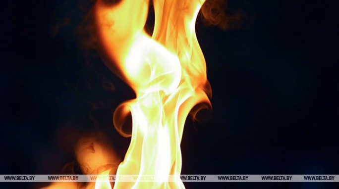 Жительница Слонимского района сожгла украденный паспорт, чтобы скрыть улики преступления