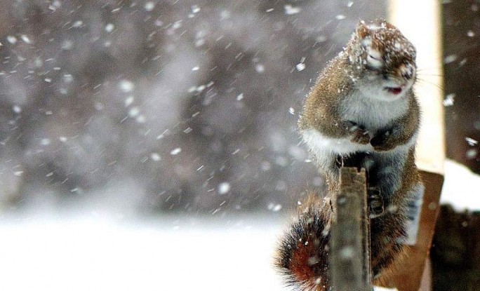 Мокрый снег и гололедица ожидаются в Беларуси 28 ноября