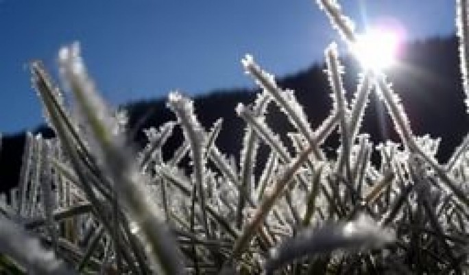 Морозы до -7°С, гололедица и туманы. Чего ждать от первого дня зимы