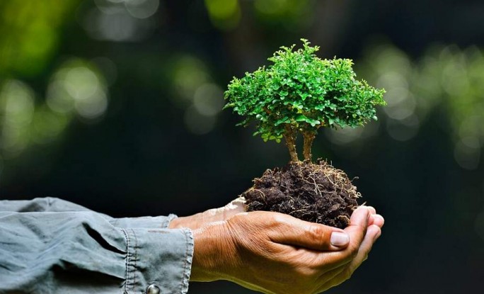 Меньше выбросов в атмосферу и сохранение биоразнообразия. Важные цифры от областного комитета природных ресурсов и охраны окружающей среды