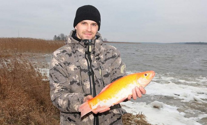 В озере Дривяты поймали золотую рыбку, которой здесь не должно было быть