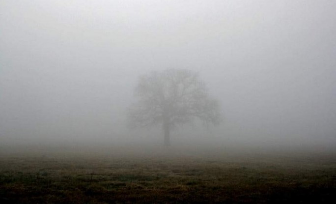 Осторожно, туман! В Беларуси на 18 декабря объявлен оранжевый уровень опасности