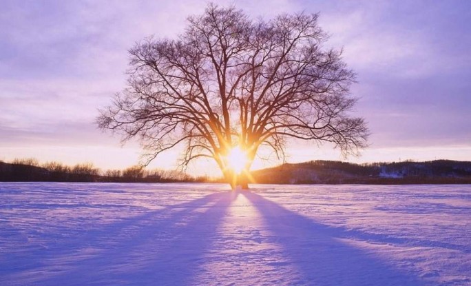 22 декабря – день зимнего солнцестояния. Приметы и традиции самого энергетического дня уходящего года
